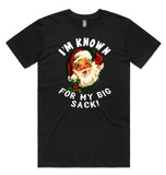 Known For My Big Sack AS Colour Staple Tee